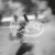 Perfect - Rock Jamboree '81 front1200.jpg